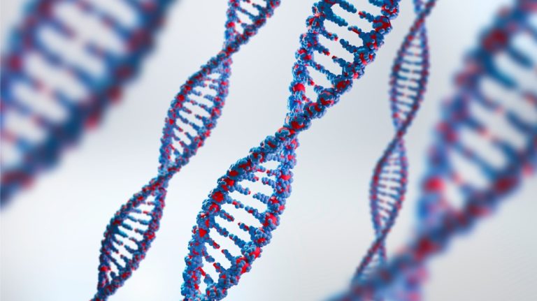 ADN basura: ¿Puede el 90% de nuestro ADN ser inútil? Desvelando la verdad de los genes basura, nuevos hallazgos y curiosidades
