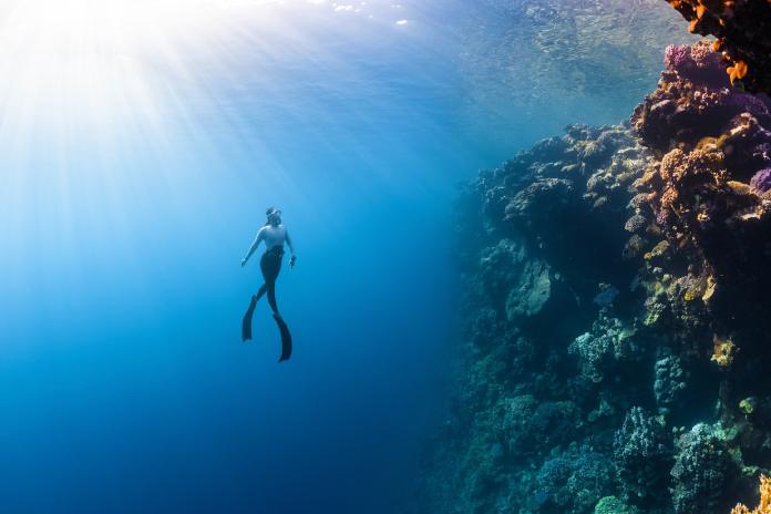 La Gran Barrera de Coral