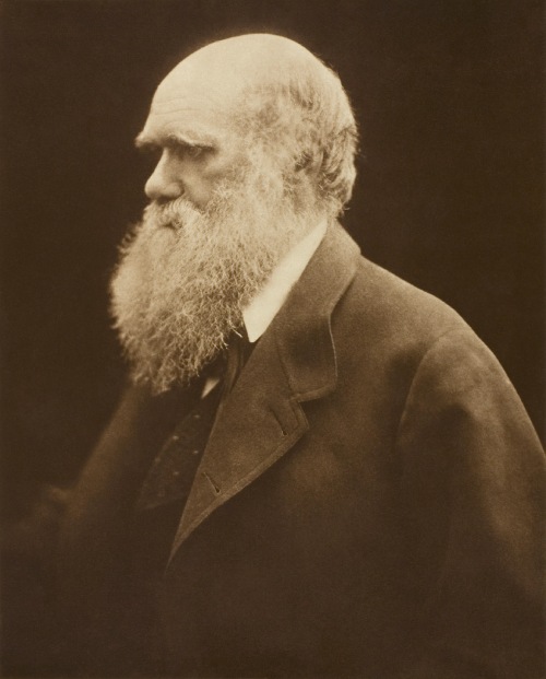 Charles Darwin.