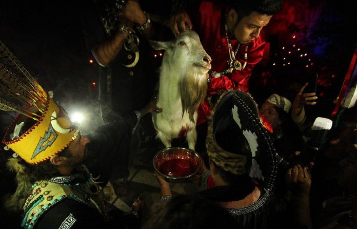 Sacrificios animales en la misa negra de catemaco.