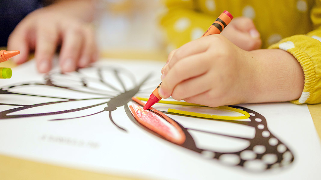 Manos de niños coloreando un dibujo