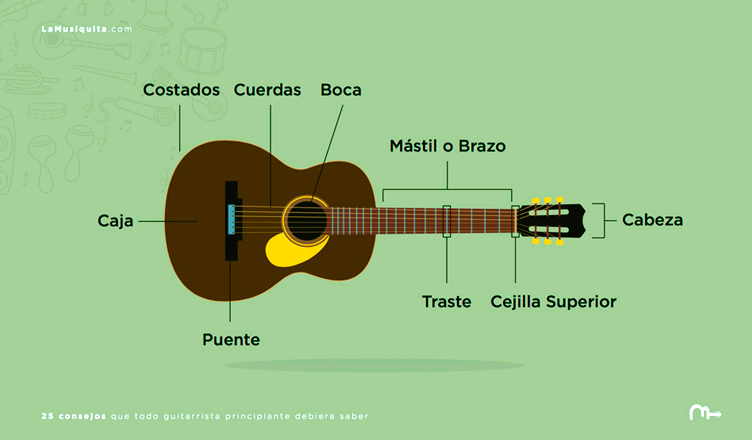 Las partes de la guitarra