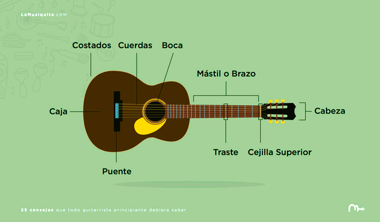 Las partes de la guitarra