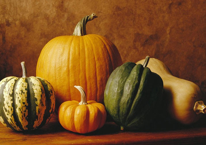 diferentes tipos de calabaza